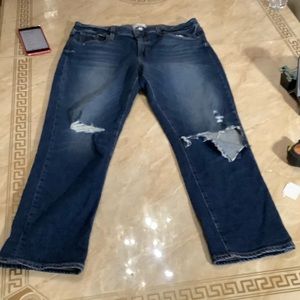 PAIGE BRIGITTE 31x27